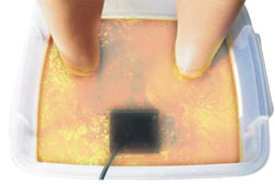 Ionic Spa Detoxification
